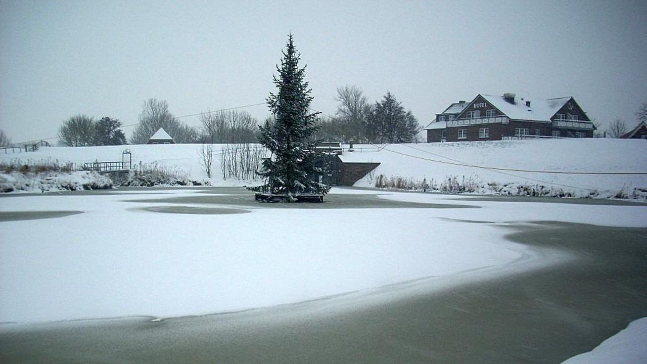 Direkte Umgebung des Objekts. schwimmender Tannenbaum Direkte Umgebung des Objekts. schwimmender Tannenbaum
